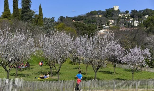 Un Appartement Neuf Aiguelongue Dans Le Vert