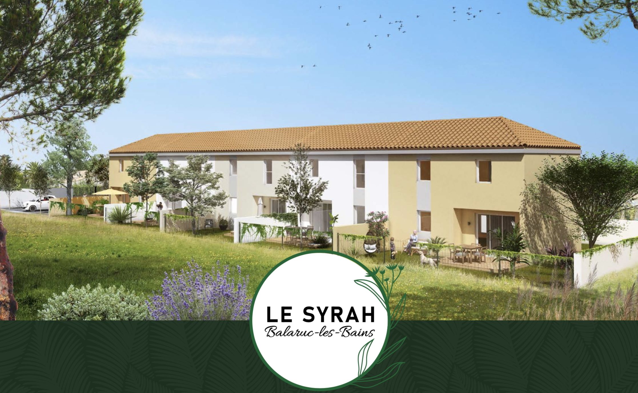 LE SYRAH